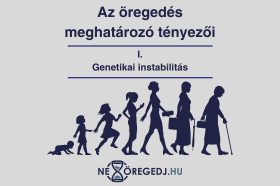 Az öregedést meghatározó tényezők: I. Genetikai instabilitás